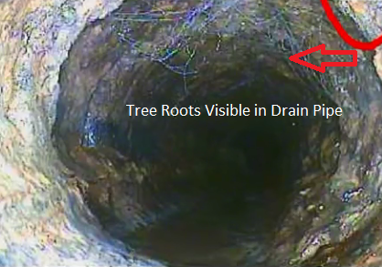 Residential Drain Cleaning