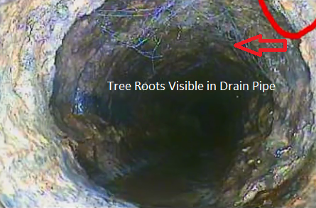 Video Pipe Inspection